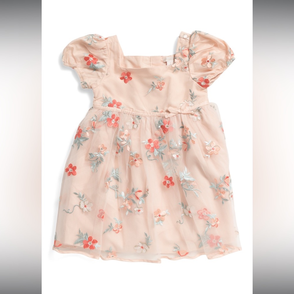 Toddler Girls Puff Sleeve Floral Embroidered Dress